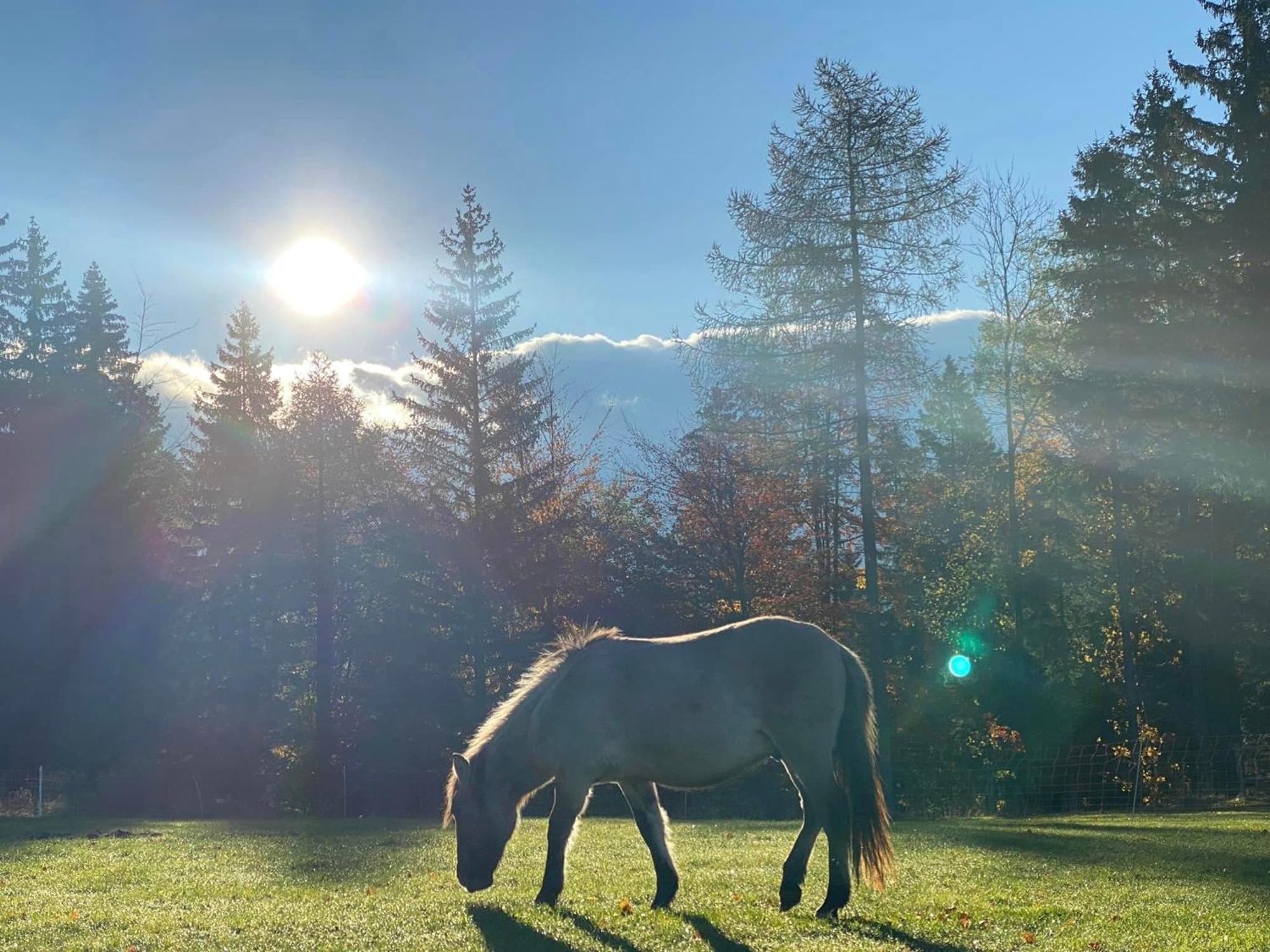 Gościniec Janowa Góra Stronie Slaskie Quarto foto